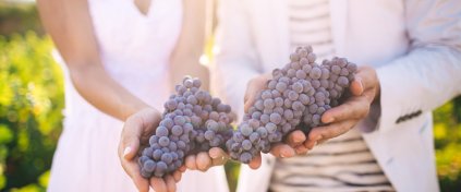 Tur Tanıtım Sistem V1