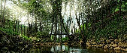 Tur Tanıtım Sistem V1