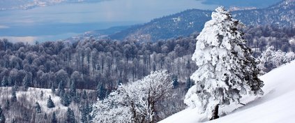 Tur Tanıtım Sistem V1